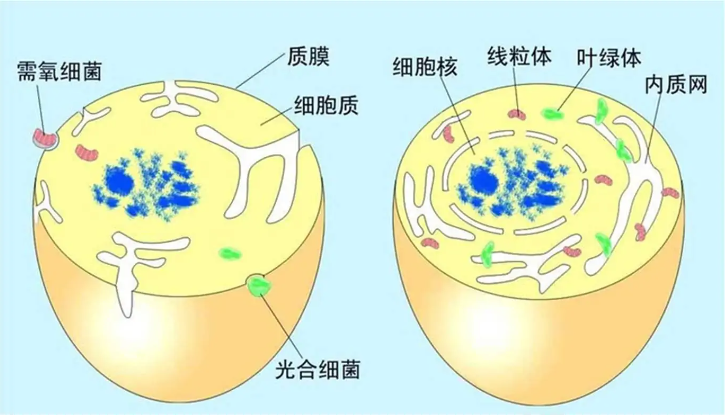 微信截圖_20221009162811